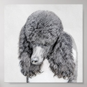 Standard Poodle Black Parti Painting - Dog Art Poster