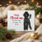 Standard Poodle Christmas Card