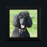 Standard Poodle dog black beautiful photo portrait Gift Box<br><div class="desc">Beautiful photo of a black standard poodle dog trinket box,   gift box,  jewellery box.  great gift idea for dog lovers</div>