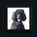 Standard Poodle dog black beautiful photo portrait Gift Box<br><div class="desc">Beautiful photo of a black standard poodle dog trinket box,   gift box,  jewellery box.  great gift idea for dog lovers</div>