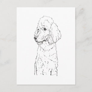 Standard Poodle Dog Illustration - Ink Art Postcard