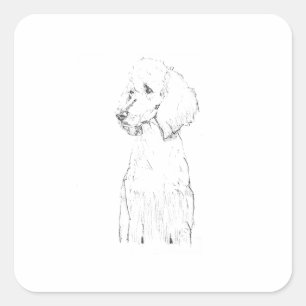 Standard Poodle Dog Illustration  Square Sticker