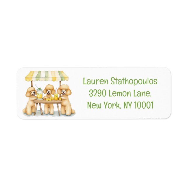 Standard Poodle Dogs Running A Lemonade Stand (Front)