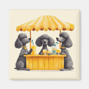 Standard Poodle Dogs Running A Lemonade Stand Magnet