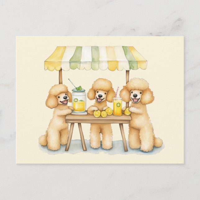 Standard Poodle Dogs Running A Lemonade Stand Postcard (Front)