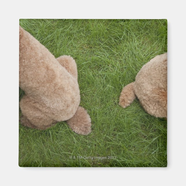 standard poodle magnet (Front)