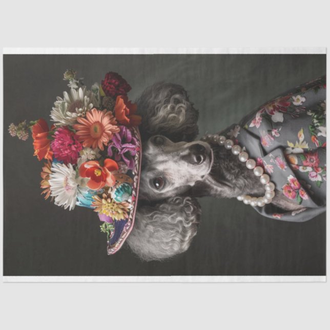 Standard Poodle of High Society Decoupage Tissue Paper (Front)