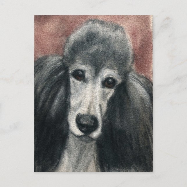 Standard Poodle Original Dog Art Postcard (Front)