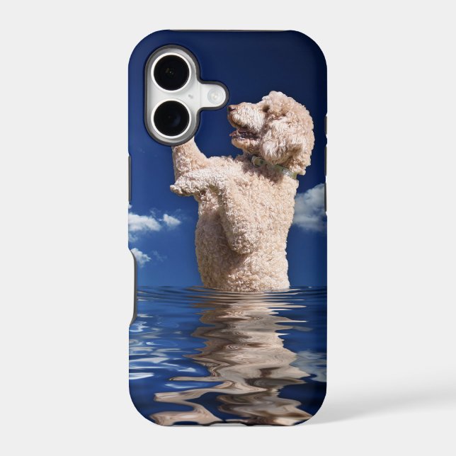 Standard Poodle Reflections (Back)