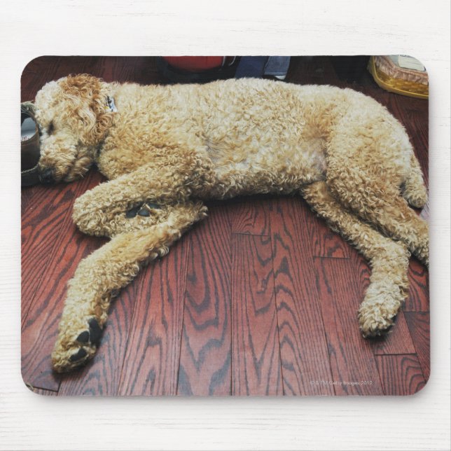 Standard Poodle Sleeping on Floor Mouse Pad (Front)