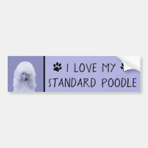 Standard Poodle White Painting - Original Dog Art Bumper Sticker