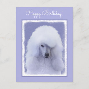 Standard Poodle White Painting - Original Dog Art Postcard