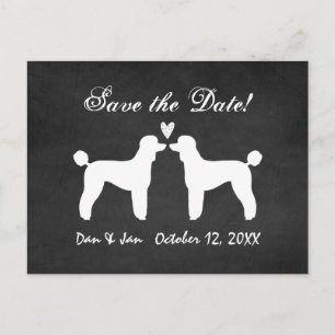 Standard Poodles Chalkboard Wedding Save the Date Announcement Postcard