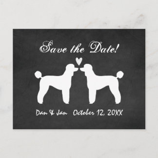 Standard Poodles Chalkboard Wedding Save the Date Announcement Postcard