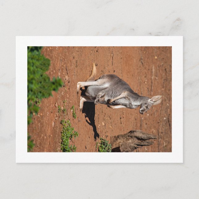 Standard postcard (Front)