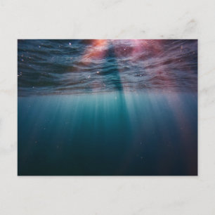 Standard Postcard
