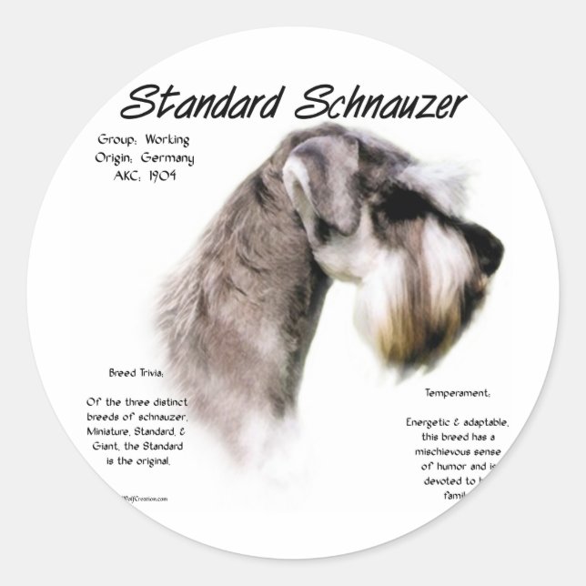 Standard Schnauzer History Design Classic Round Sticker (Front)