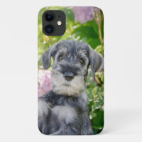 Standard Schnauzer Puppy in a Flowering Garden -