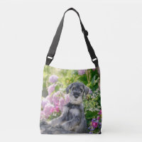 Standard Schnauzer Puppy in a Flowering Garden -