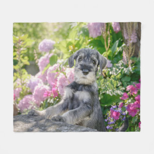 Standard Schnauzer Puppy in a Flowering Garden Fleece Blanket