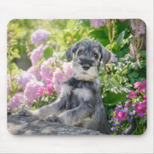 Standard Schnauzer puppy in a flowering garden Mouse Pad