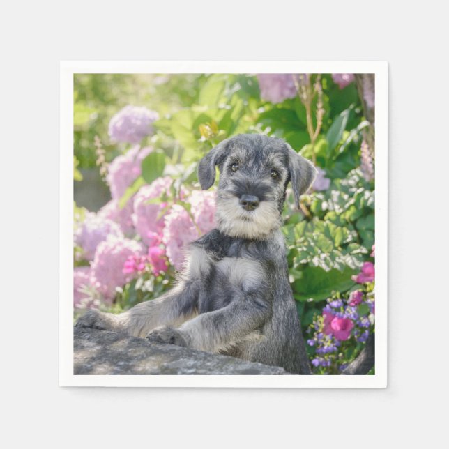 Standard Schnauzer Puppy in a Flowering Garden - Napkin (Front)