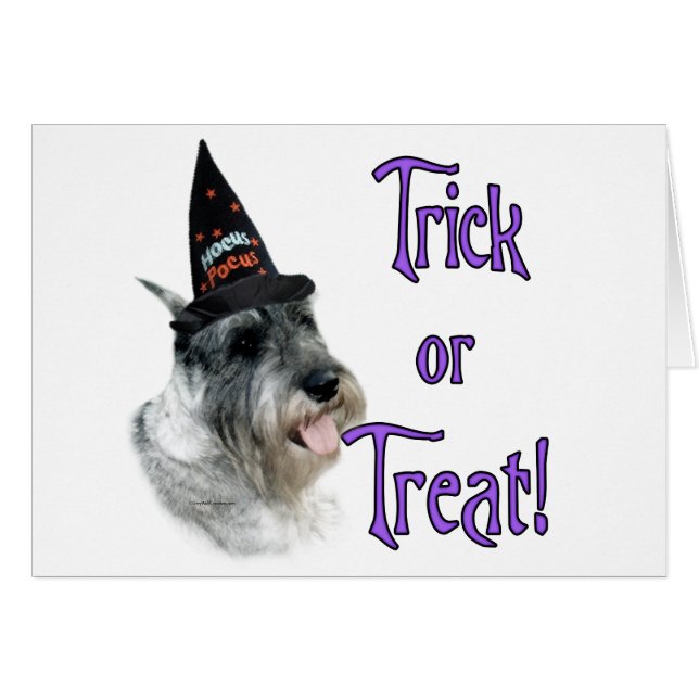 Standard Schnauzer Trick (Front Horizontal)