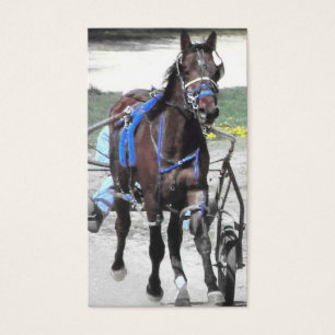 Standardbred