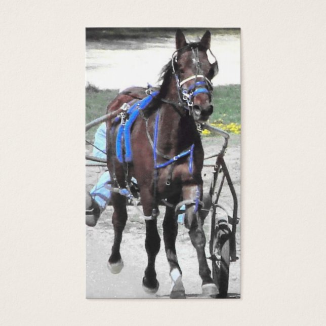 Standardbred (Front)