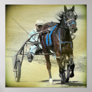 Standardbred 2 poster