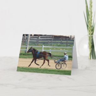 Standardbred Card