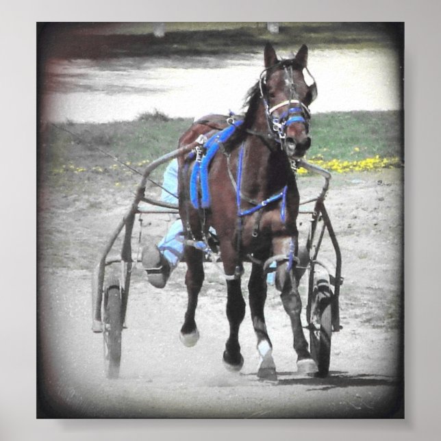 Standardbred Poster (Front)