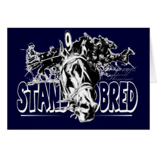 Standardbred Racing