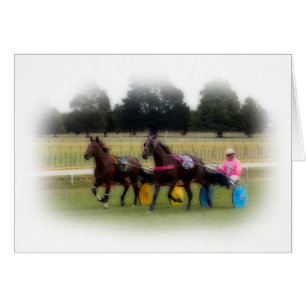 Standardbreds at the Racetrack