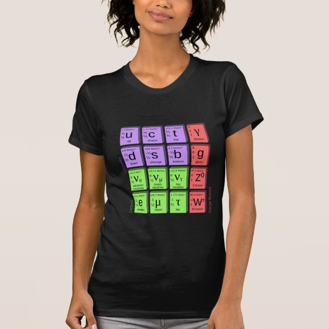 Standart model of elementary particles T-Shirt (Front)