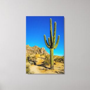 Standing Cactus Canvas Print