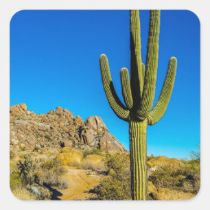 Standing Cactus Square Sticker