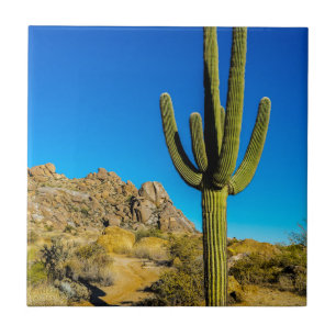 Standing Cactus Tile