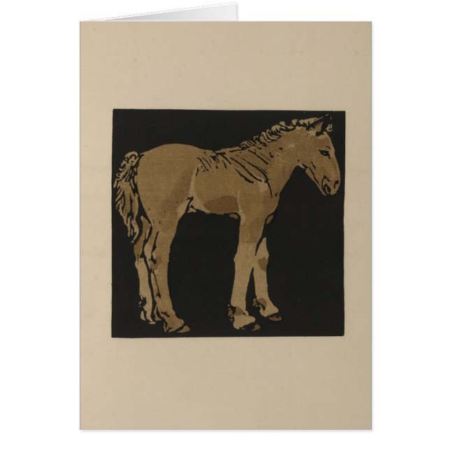 Standing Colt (Front)