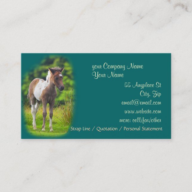 Standing Dartmoor Pony Foal business card (Front)