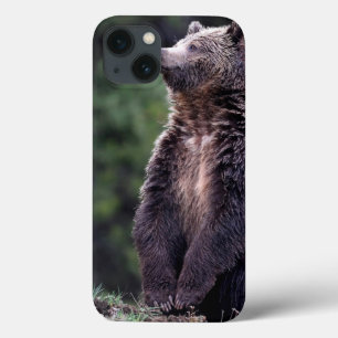 Standing Grizzly Bear iPhone 13 Case