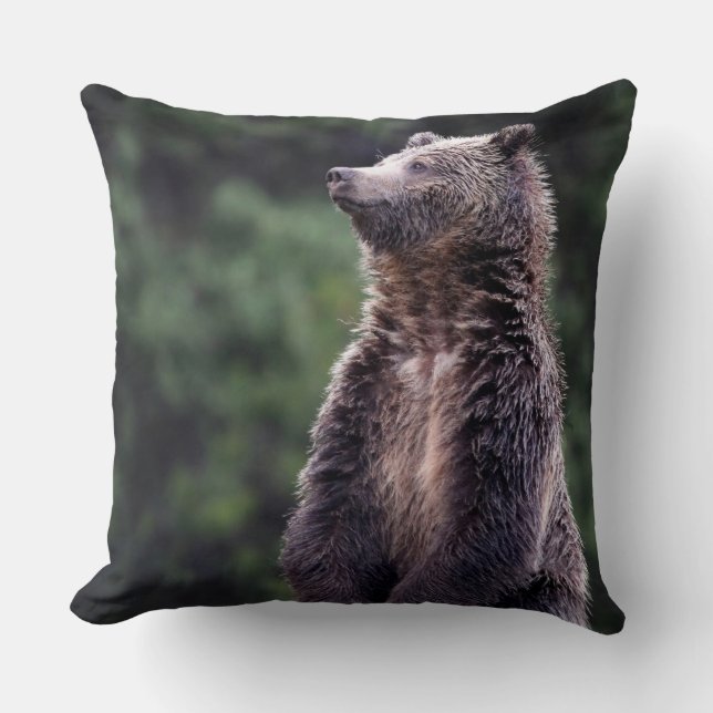 Standing Grizzly Bear Cushion (Front)