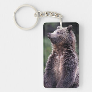 Standing Grizzly Bear Key Ring