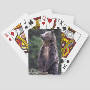 Standing Grizzly Bear Playing Cards