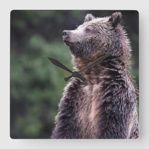 Standing Grizzly Bear Square Wall Clock