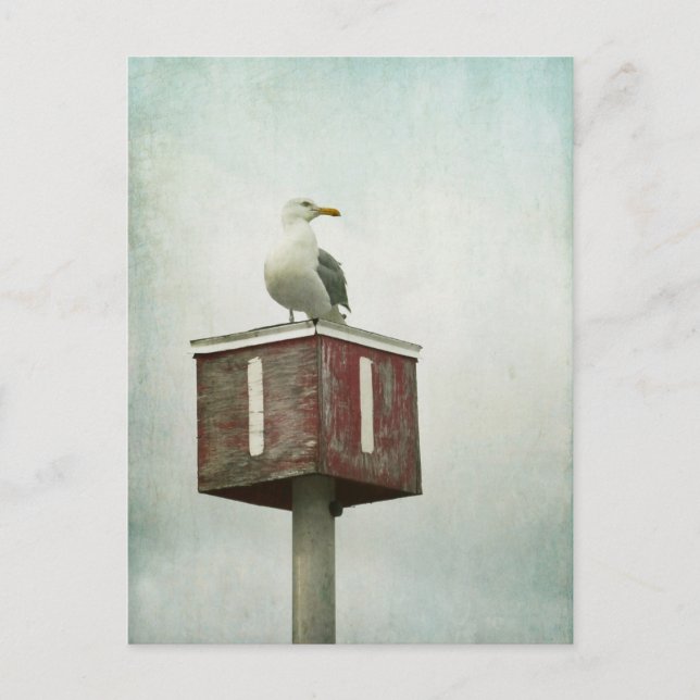 Standing Guard Postcard (Front)