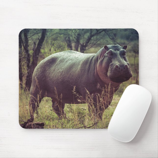 Standing Hippo Posing at Camera in Africa Foliage Mouse Pad (With Mouse)