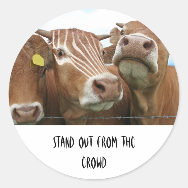 Standing out from the Crowd Classic Round Sticker (Front)