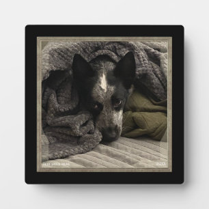 Standing Picture with Faux Metal Frame HAMbWG