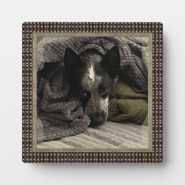 Standing Picture with Faux Metal Frame HAMbWG (Front)